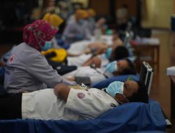 Target 500 Kantong, Semen Tonasa Gelar Aksi Donor Darah