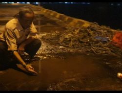Miris, Bongkar Muat Batu Bara Berakhir Pencemaran di Pelabuhan Cappa Ujung