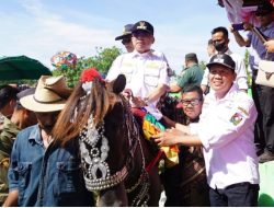 Bupati Majene Ikut Tradisi Menunggang Kuda di Perkemahan Tingkat SD Sendana