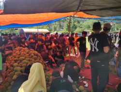 Kontes Durian di Desa Tapong