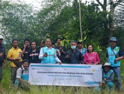 Hari Lingkungan Hidup, PLN UPDK Bakaru Hadir Dengan Agroforestry DAS Mamasa
