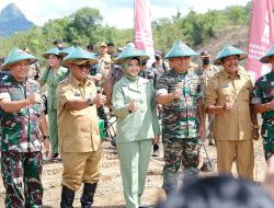 Pangdam XIV/Hasanuddin Mayjen TNI Andi Muhammad Tanam Jagung di Soppeng