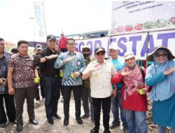 Pemkab Majene Kembangkan Food Estate, Dukung Gerakan Merdeka Pangan