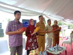 Mondelez Indonesia Rayakan 10 tahun Perjalanan Cocoa Life di Kabupaten Pinrang.