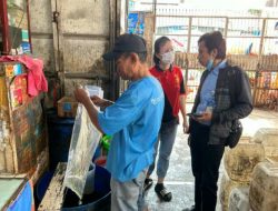 KPPU Kanwil VI & Disdag Sulsel Pantau Stok Migor di Makassar
