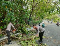 Kapolsek Soreang Pimpin Evakuasi Pohon Tumbang