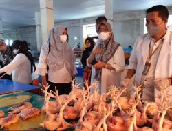 Jelang Ramadan, Pemkot Parepare Awasi Stok Daging