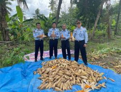 Rutan Pinrang Sukses Bina Kemandirian Pertanian