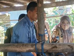 Jelang Iduladha, Pemkot Parepare Intens Awasi Sapi Ternak