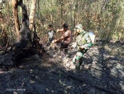 Danramil 1402-01/Polewali Pimpin Pemadaman Api di Bukit Anreapi
