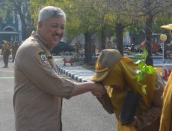 Setelah Tanam Pisang, Pemkab Pinrang Masifkan Tanam Cabai