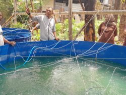 Kunjungi Pembudidayaan Ikan Tawar, Pj Wali Kota Parepare: Sumber Ekonomi Masyarakat