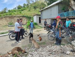 PLT Kades Pimpin Perburuan Hama Babi di Desa Pamboborang