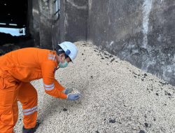 PLTU Barru Sukses Melakukan Uji Coba Cofiring Biomass Woodpellet 𝟏𝟎𝟎%