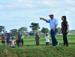 Hari Libur pun Mentan Andi Amran Tetap Kerja dan Tinjau Areal Tanaman Padi di Sulsel