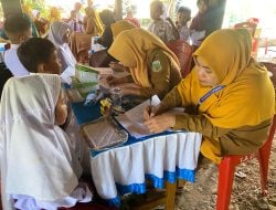 Jadi Proyek Percontohan, Puskesmas Lanrisang Optimalkan Semua Posyandu Terapkan ILP