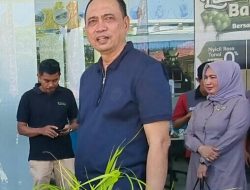 TQ Didapuk Pembicara di Musda Bersama Angkatan Muda Muhammadiyah