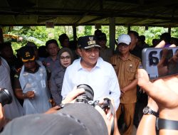 Pj Gubernur Sulsel Target Enrekang Jadi Sentra Sapi Perah