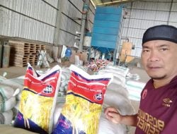 Sidrap Lumbung Pangan dan Benih Unggul, Ramli Manong: Bikin Petani Jadi Sejahtera