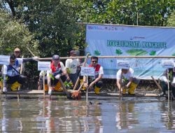 Lestarikan Ekosistem Pesisir, Pertamina Patra Niaga Sulawesi Melalui Integrated Terminal Makassar Melakukan Penanaman Mangrove di Parangloe Makasar