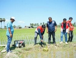 Pertamina Patra Niaga Sulawesi Bersama Pemda Sidak Pangkalan LPG 3 Kg, Pastikan Ketersediaan Stok dan Harga Sesuai HET