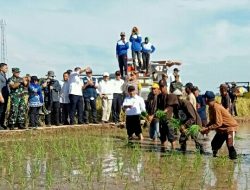 Kunjungan di Gowa, Mentan Amran Berbaur dengan Petani Turun Sawah Tanam Padi di Lahan Seluas 300 Hektare