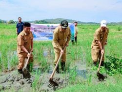 Bupati Mappalili di Desa Nepo Mallusetasi