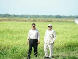 Presiden Prabowo Didampingi Mentan Amran Kunjungan Perdana ke Lahan Pertanian Merauke