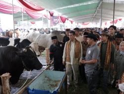 Mentan Amran Respons Cepat Keluhan Peternak  Soal Harga Daging Sapi di Lampung