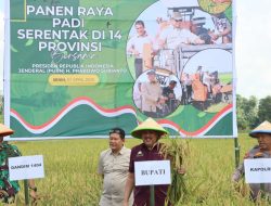 Panen Raya Nasional : Pinrang Komitmen Sebagai Lumbung Pangan Nasional