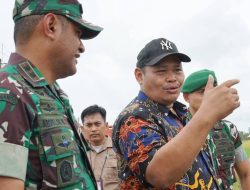 Panen Raya di Pinrang, Bulog Tambah Kapasitas Gudang untuk Menampung Hasil Panen