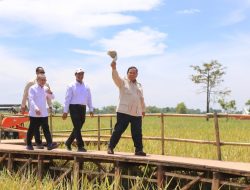 Presiden Prabowo Tekankan Pentingnya Kerja Keras dan Komitmen Bangun Ketahanan Pangan