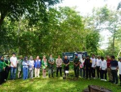 Pertamina Patra Niaga Regional Sulawesi Aksi Nyata Hari Bumi: Pertamina FT Parepare Tanam Pohon Endemik di Kebun Raya Jompie
