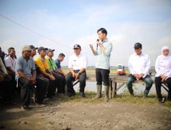 Sering Turun ke Sawah, Mentan Amran Dipuji Wapres Gibran hingga Presiden Prabowo