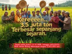Serapan Beras Bulog Januari–Mei Tertinggi dalam 57 Tahun, Tanpa Impor