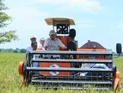 Mentan Amran, “Sentuhan Ajaib” Presiden Prabowo Hentikan Impor Beras
