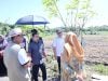Wali Kota Parepare Kunjungan ke TPA Allopoe dan Lahan Penanaman Jagung