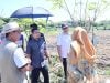 Wali Kota Parepare Kunjungan ke TPA Allopoe dan Lahan Penanaman Jagung