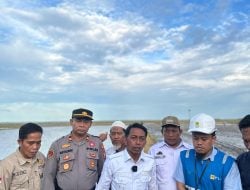 PLN Hadir dalam Tanam Perdana Brigade Pangan Pemda Sidrap, Dukung Swasembada Pangan Nasional