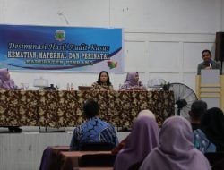 Wakil Bupati Pinrang Tegaskan Pelayanan Kesehatan Tidak Bisa Sepenuhnya Digantikan Digital