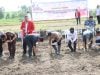 Pemkot Parepare dan Unhas Sinergi Perkuat Ketahanan Pangan
