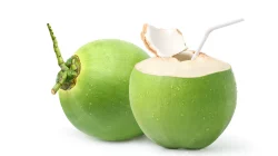 Air Kelapa