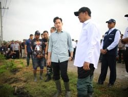 Wapres Gibran dan Mentan Amran Kompak Tanam Padi di Ngawi, Dorong Produksi dan Dukung Kebutuhan Petani