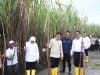 Mentan Amran Tegaskan Komitmen Pemerintah untuk Petani Tebu di Hadapan Wapres