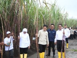Mentan Amran Tegaskan Komitmen Pemerintah untuk Petani Tebu di Hadapan Wapres