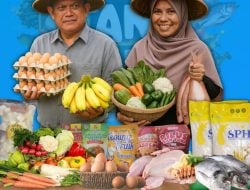 Dinas PKP Parepare Konsisten Gelar Pasar Tani, Omzet Sudah Tembus Rp600 Juta Lebih