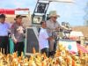 Didampingi Mentan Amran, Presiden Prabowo Pimpin Panen Raya Jagung Di Kalbar