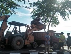 DLH Parepare Bergerak Cepat dan Efektif, Kini Jalan Mattirotasi Bersih dan Tertata