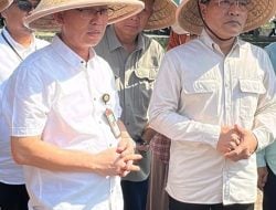 Bantul Dukung Program Swasembada Pangan Nasional Lewat Berbagai Inisiatif Pertanian