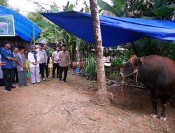 Presiden Prabowo Berkurban di Barru